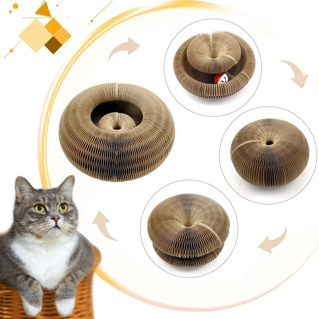 Cat Donut scratcher toy