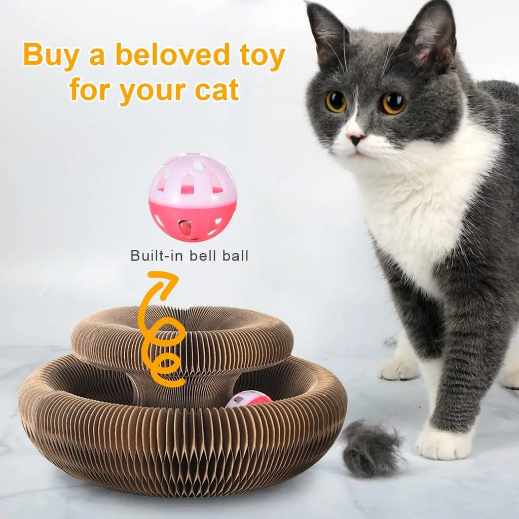 Cat Donut scratcher toy