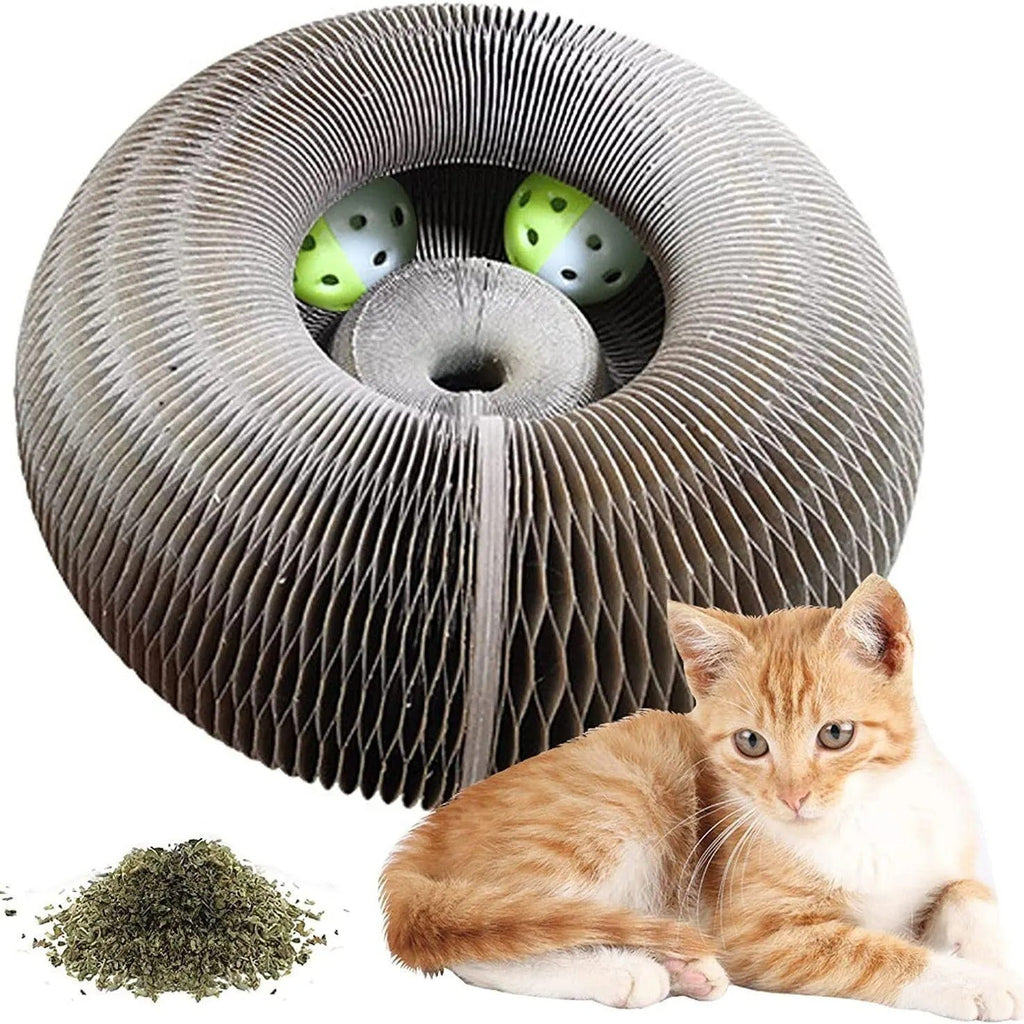 Cat Donut scratcher toy