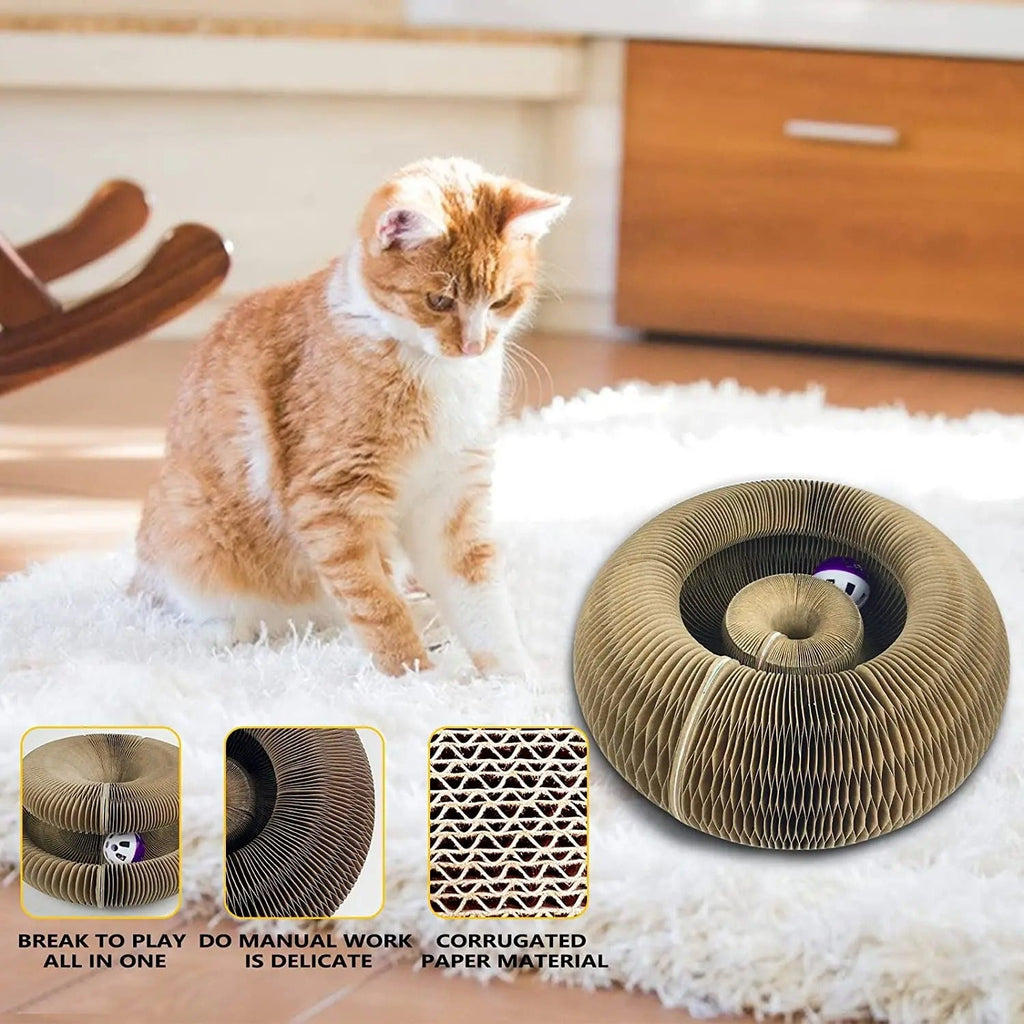 Cat Donut scratcher toy
