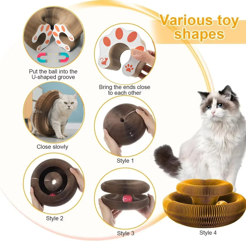 Cat Donut scratcher toy