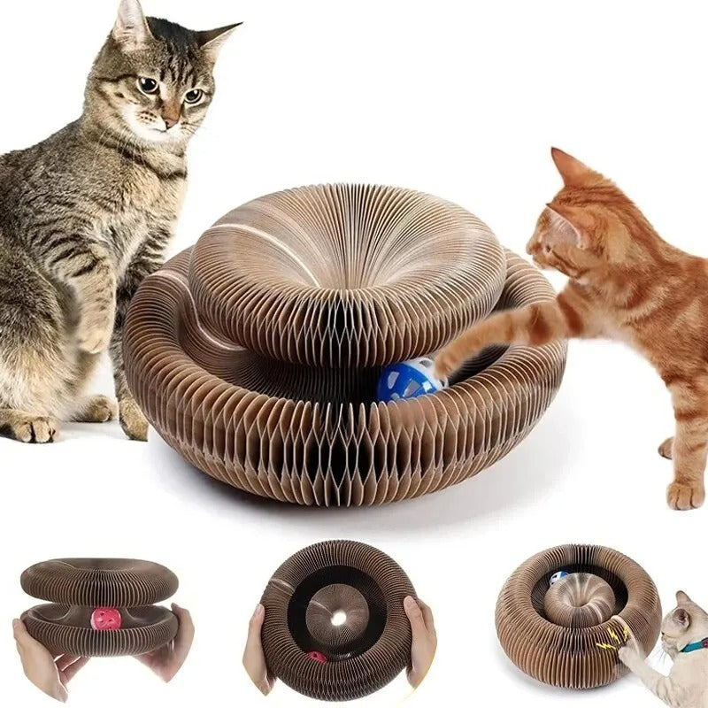 Cat Donut scratcher toy